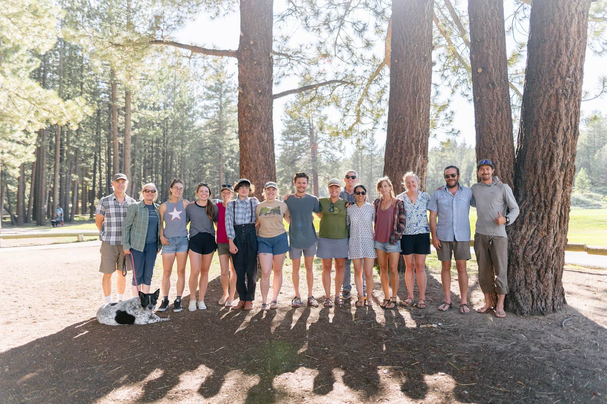 Whitebark Institute staff standing in the trees at a park