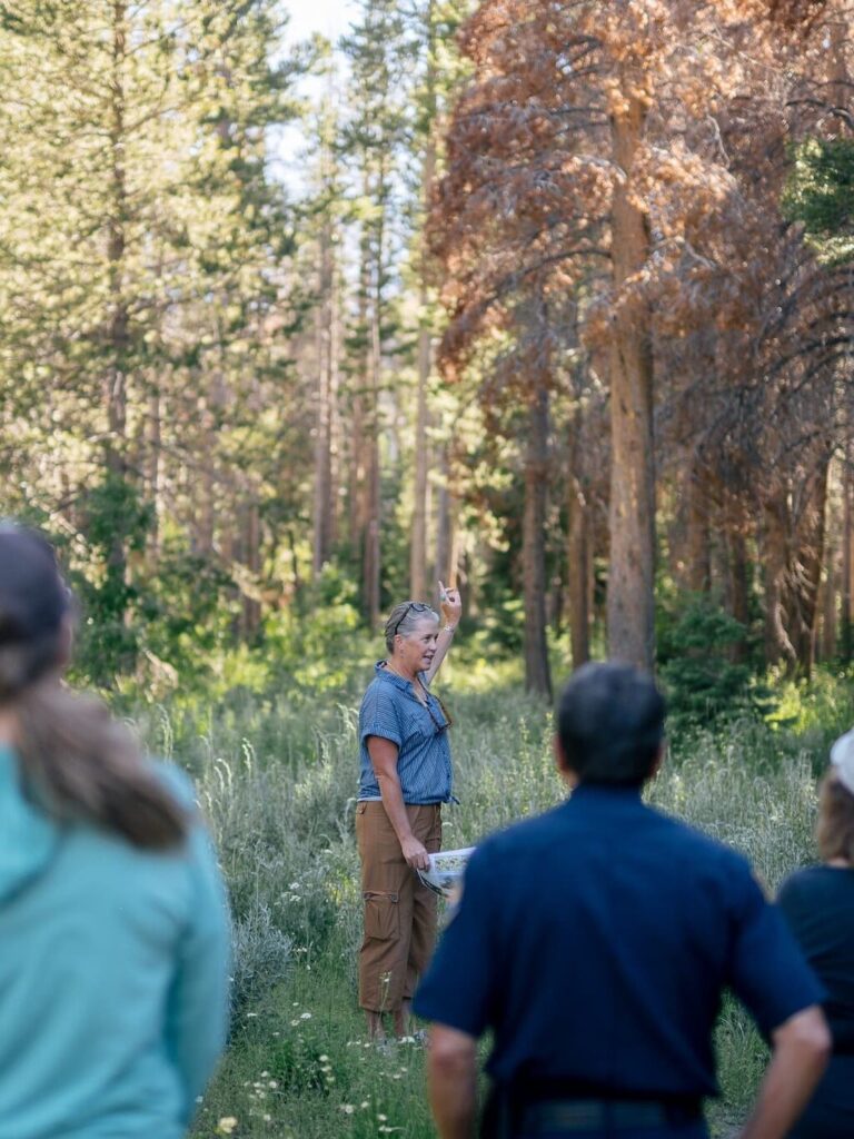 Whitebark staff showing a group of people around a forest