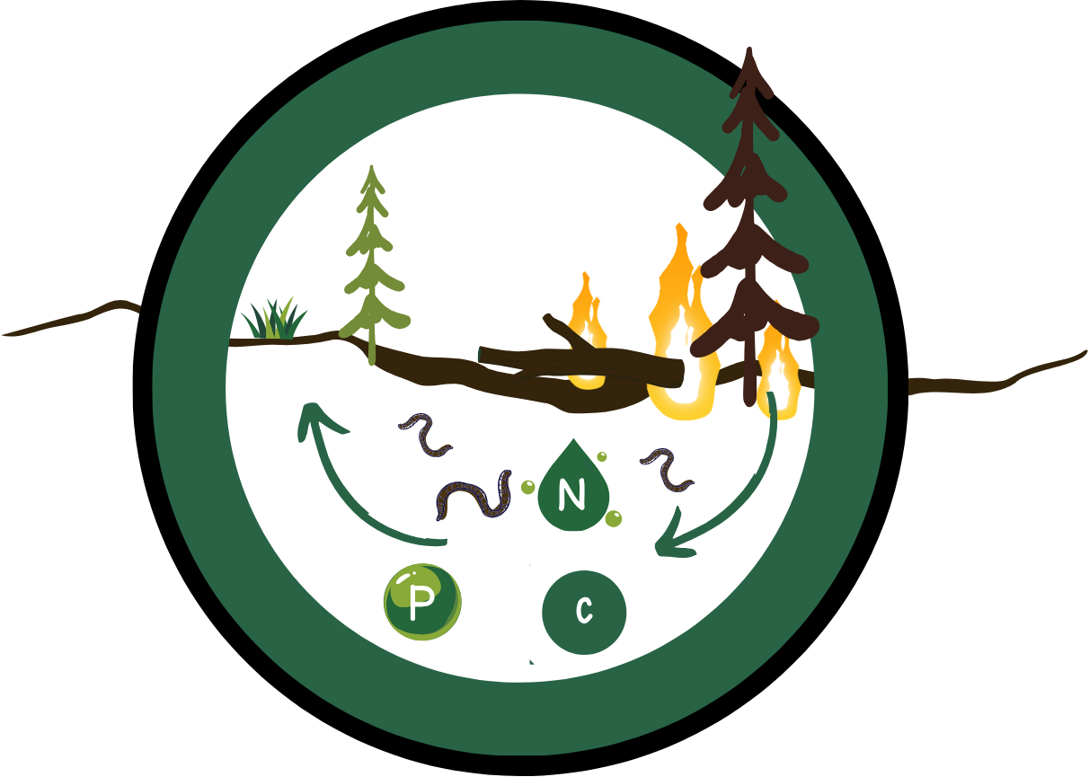 Nutrient Cycling