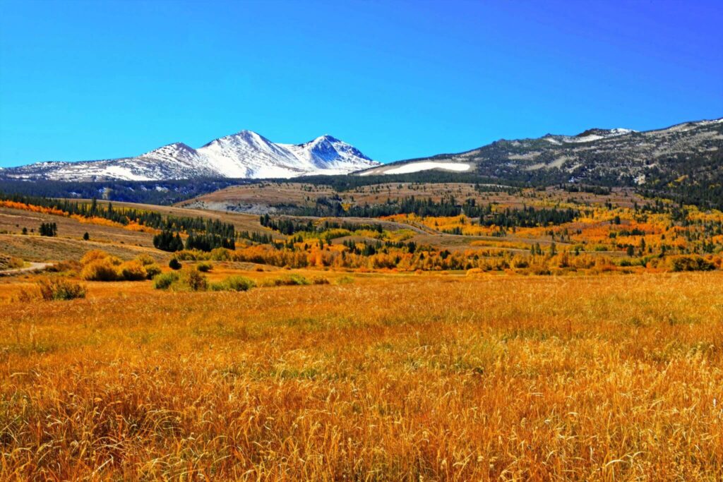 fall colors in the Eastern Sierra