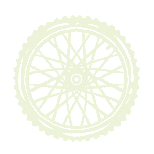 Ianw wheel