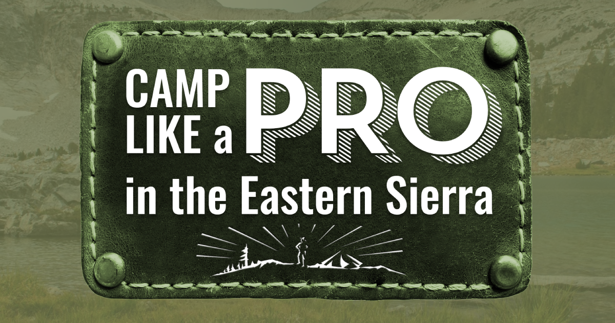 Camp like a pro logo