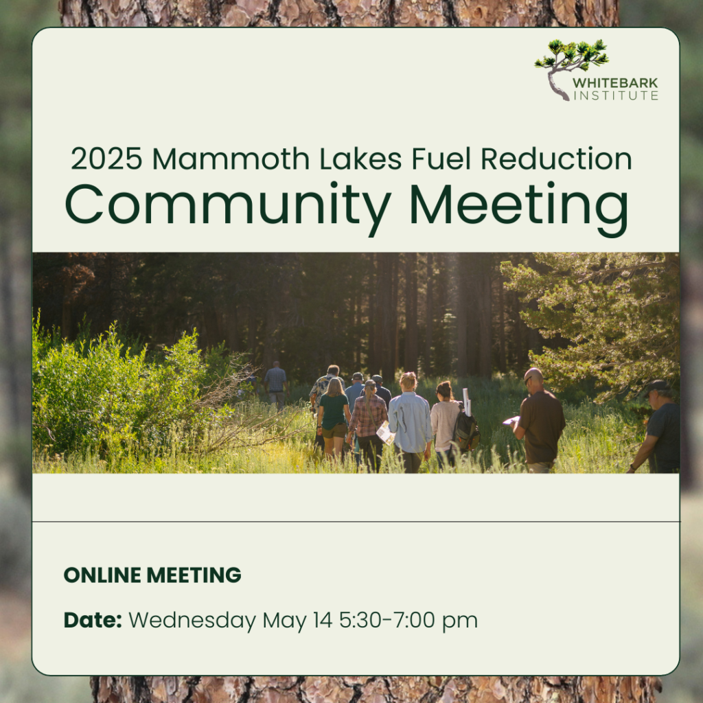 Fuel reduction community meetings 2025 (2)