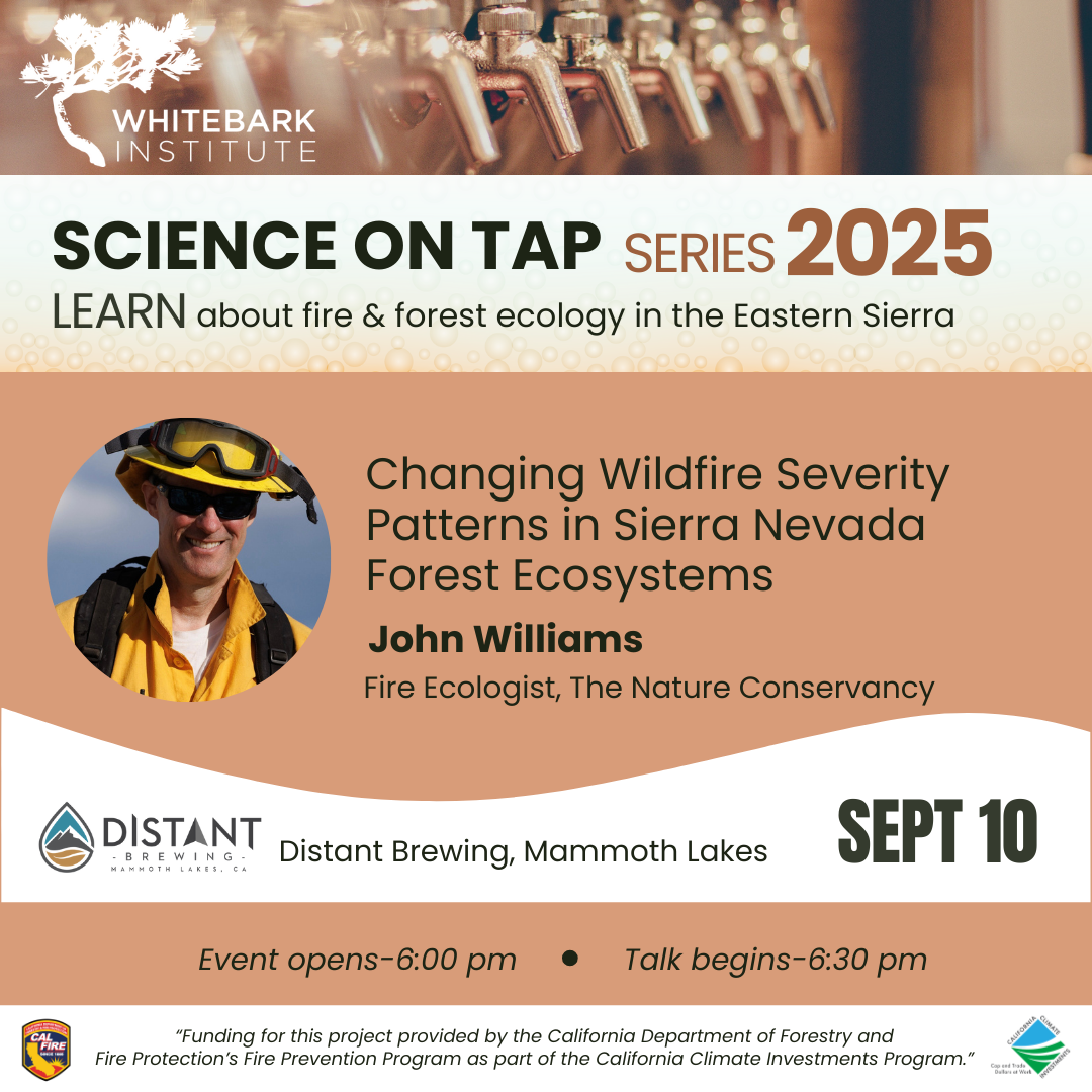 Science on Tap speaker (Instagram Post) (3) Science on tap speaker (instagram post) (3)