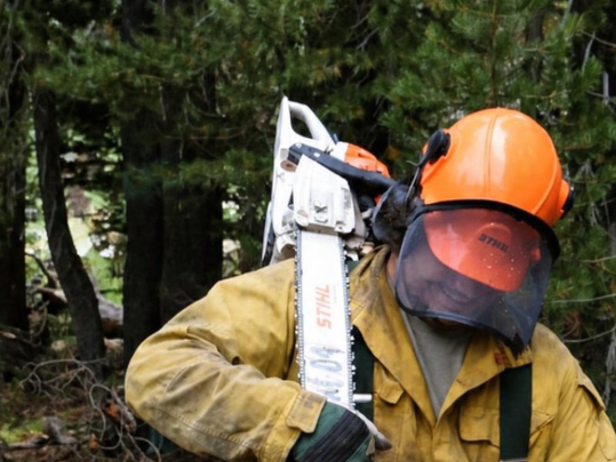 A hand crew sawyer carrying a chainsaw through a forest