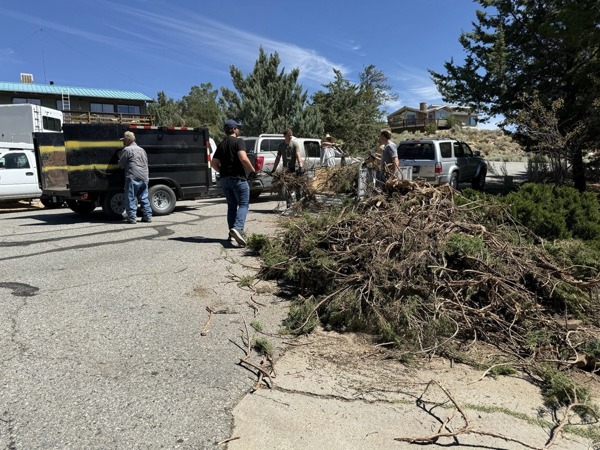 Volunteers loading juniper branches into a trailer during Junk the Juniper